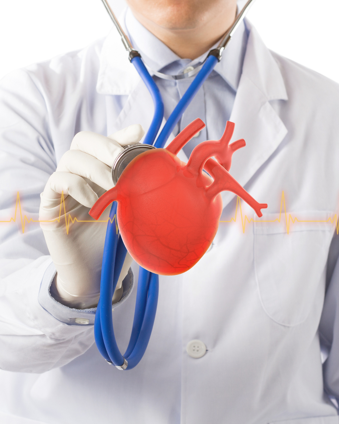 Médico cardiologista com estetoscópio segurando ilustração do coração